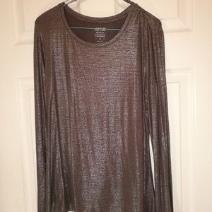 Silver long-sleeved crew NWT